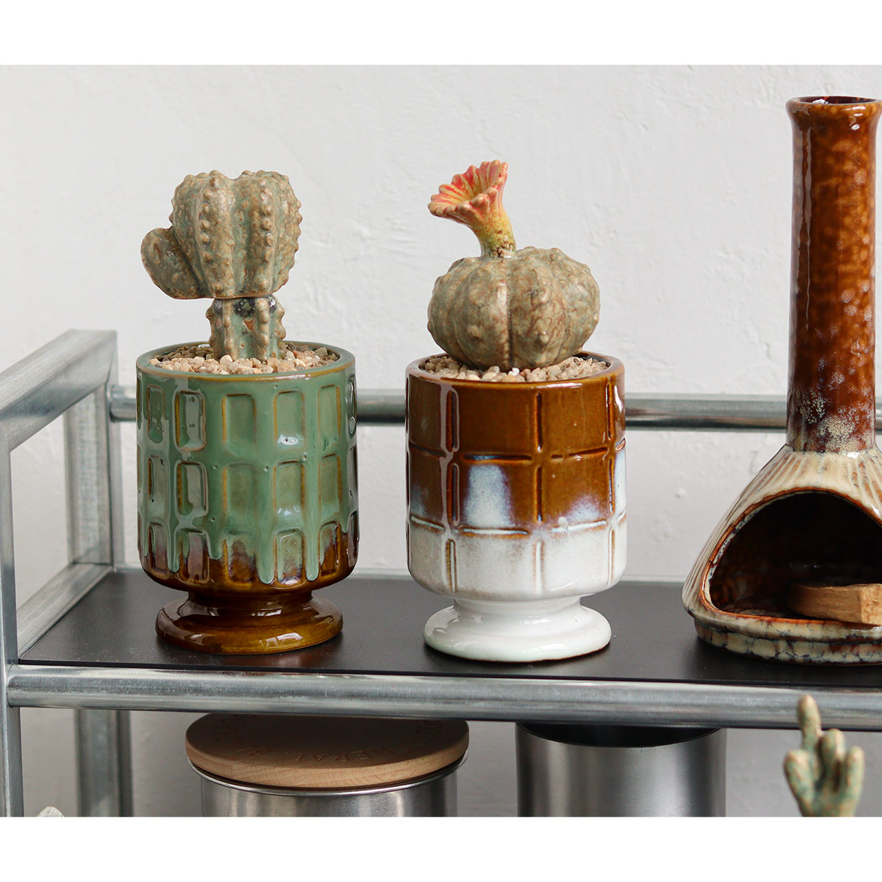 工芸品 kat&roger THE CACTI POT / ザ カクティポット - KINOKO-UCHIWA 【982670005