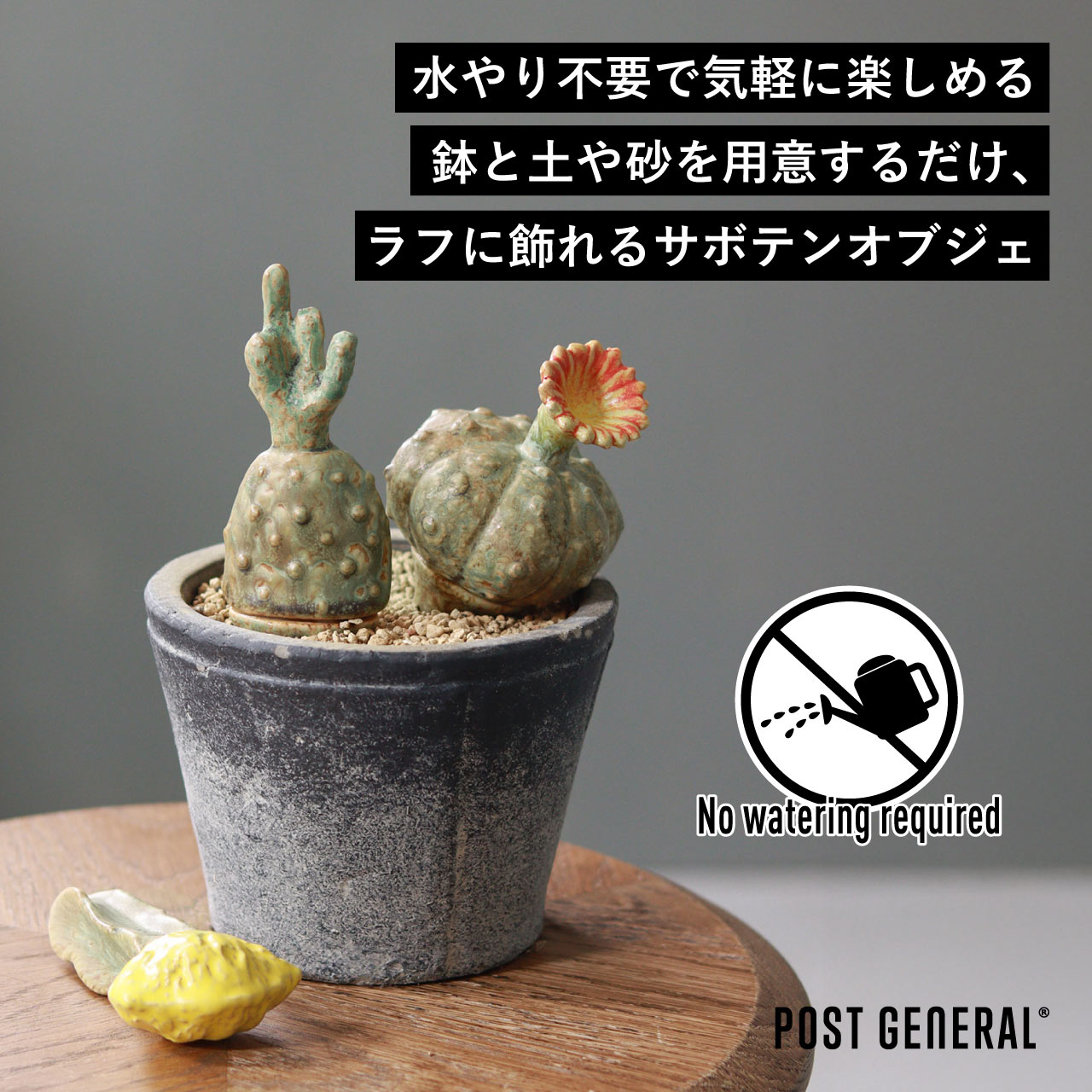 THE CACTI OBJECT / ザ カクティオブジェ - YE-MOON SET 【982670006