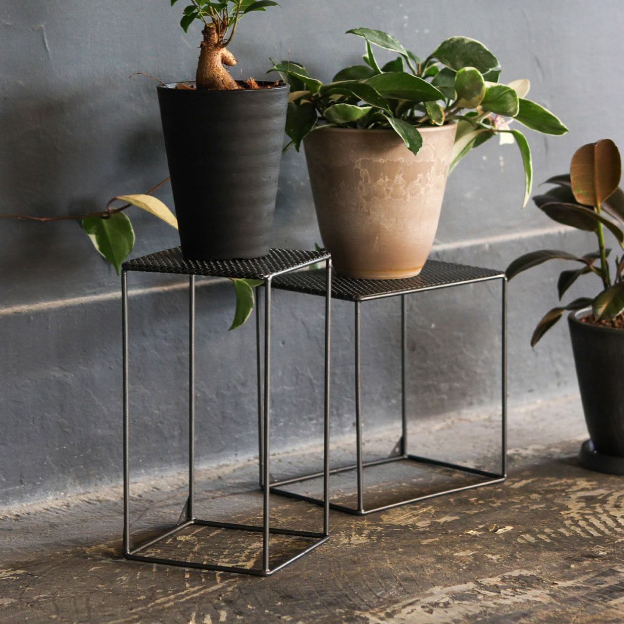 INDUSTRIAL PLANTER STAND MESH LOW / インダストリアル プランター