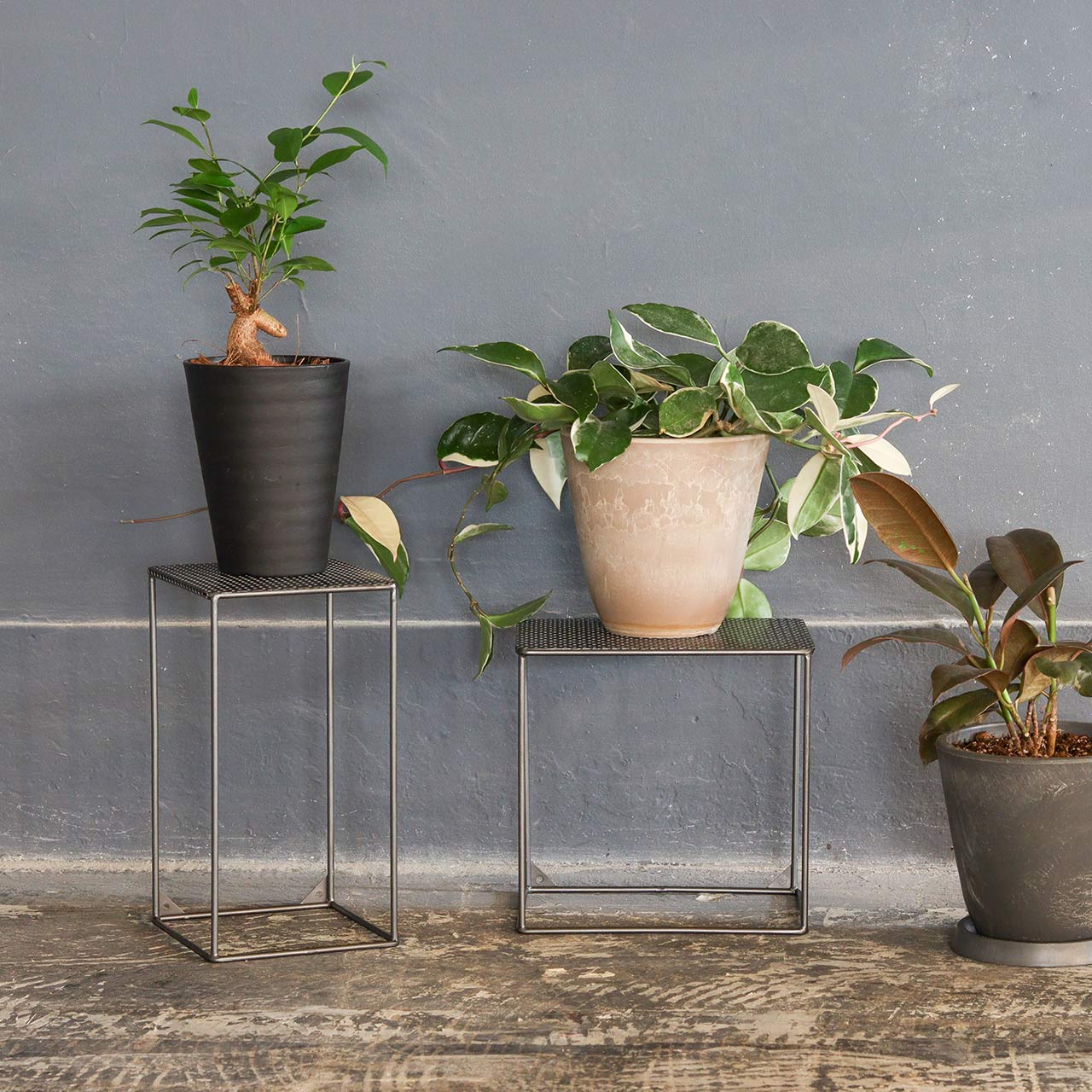 INDUSTRIAL PLANTER STAND MESH LOW / インダストリアル プランター