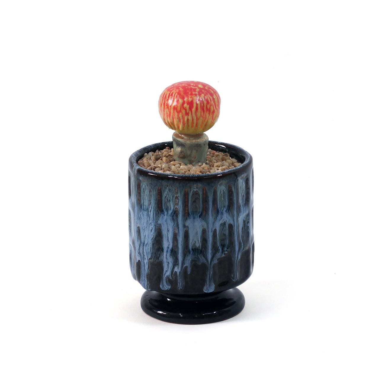 THE CACTI POT / ザ カクティポット - KINOKO-UCHIWA 【982670005